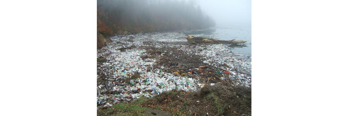 Kunstrasen ohne Mikroplastik – geht das? - 