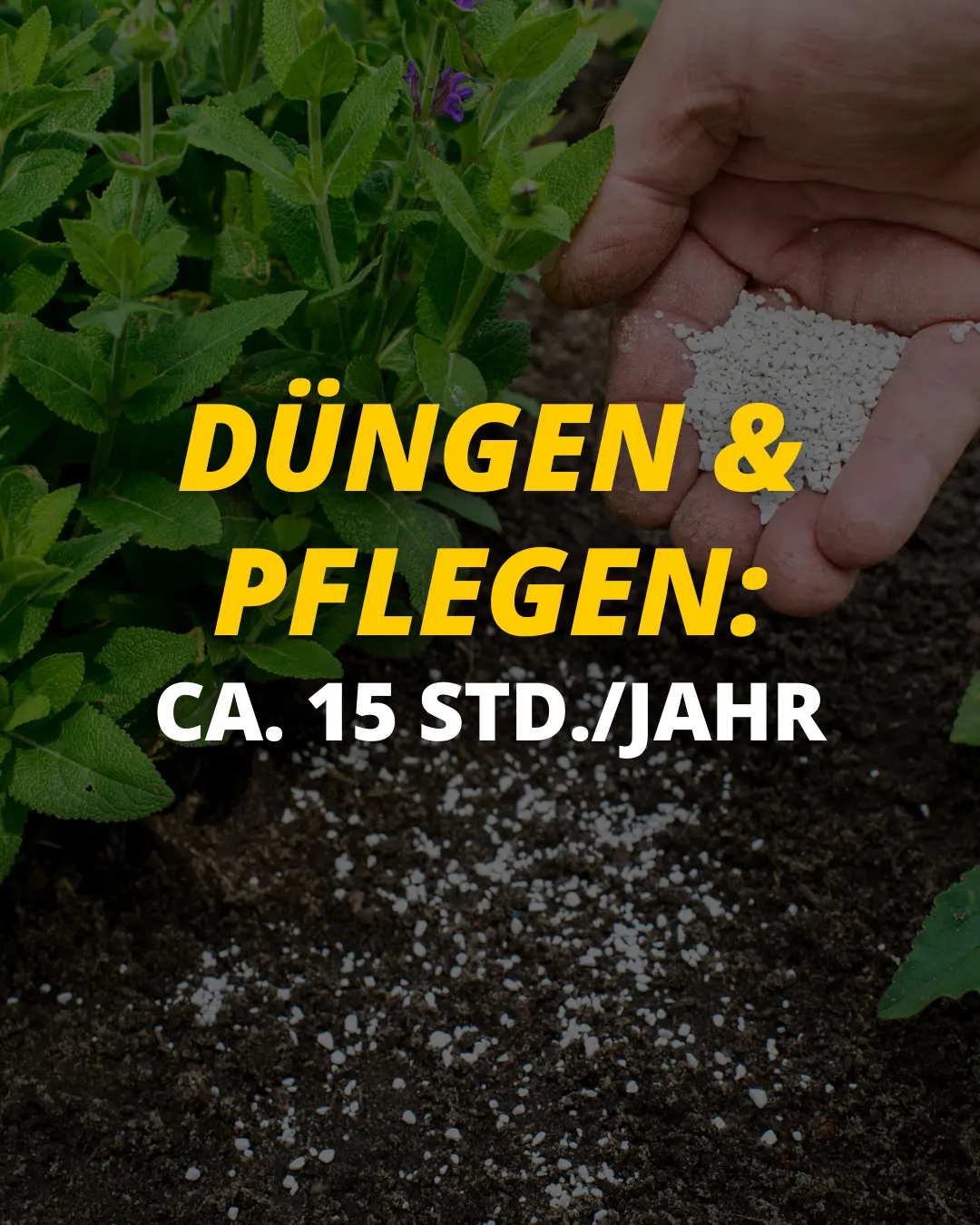 Bei Premium-Kunstrasen entfallen Düngen und aufwendige Rasenpflege