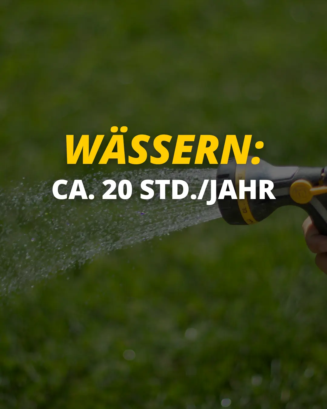 Premium-Kunstrasen muss nicht regelmäßig bewässert werden