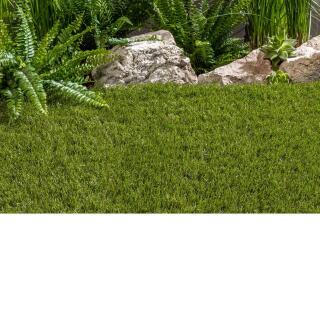 Kunstrasen Holland / 45 mm