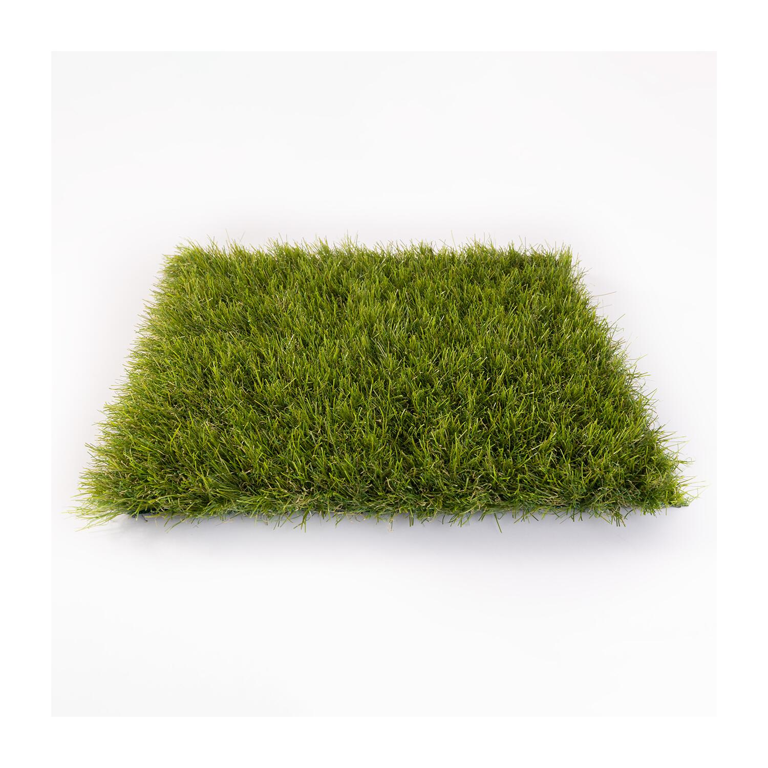 Kunstrasen Allgäu 25,90 € / m² » PremiumKunstrasen.de, €