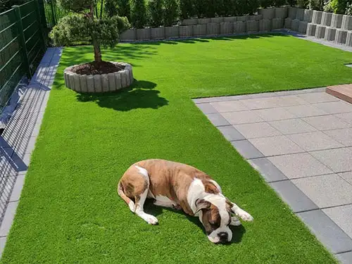 Kunstrasen im Garten mit Hund