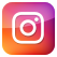 Instagram Icon